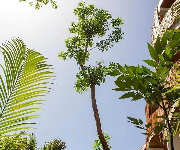 Aparthotel Adora Distinctive Residences