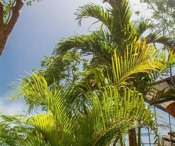 Adora Distinctive Residences * Tulum